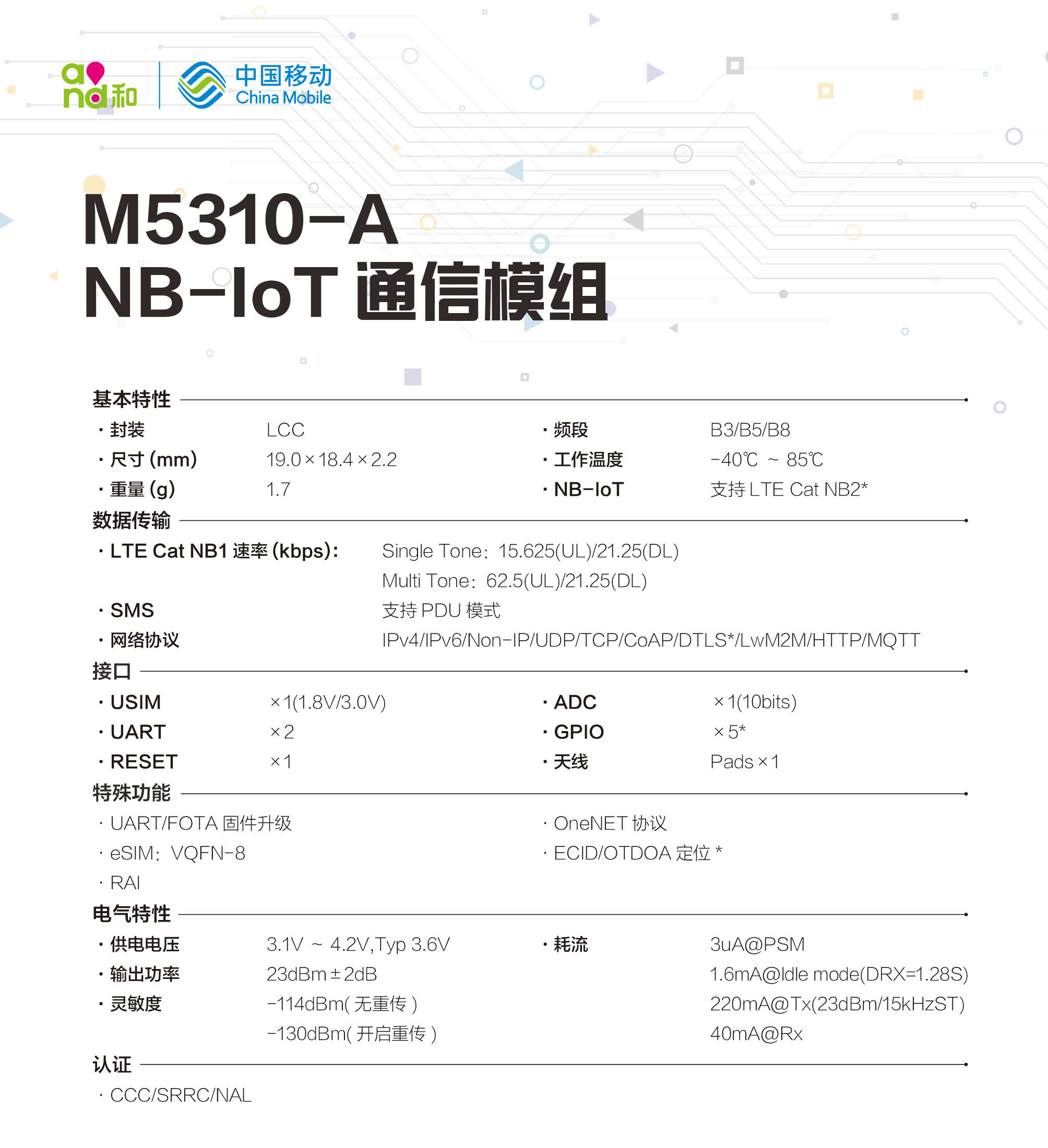M5310-A-2.jpg