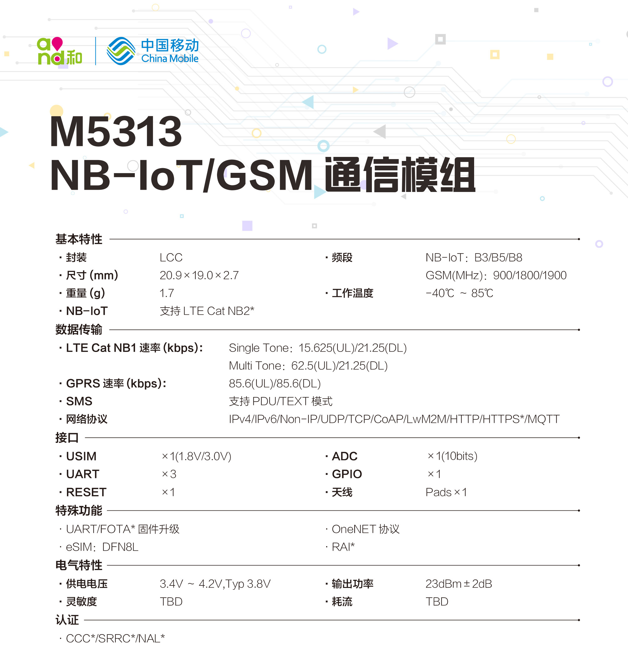 M5313-2.jpg